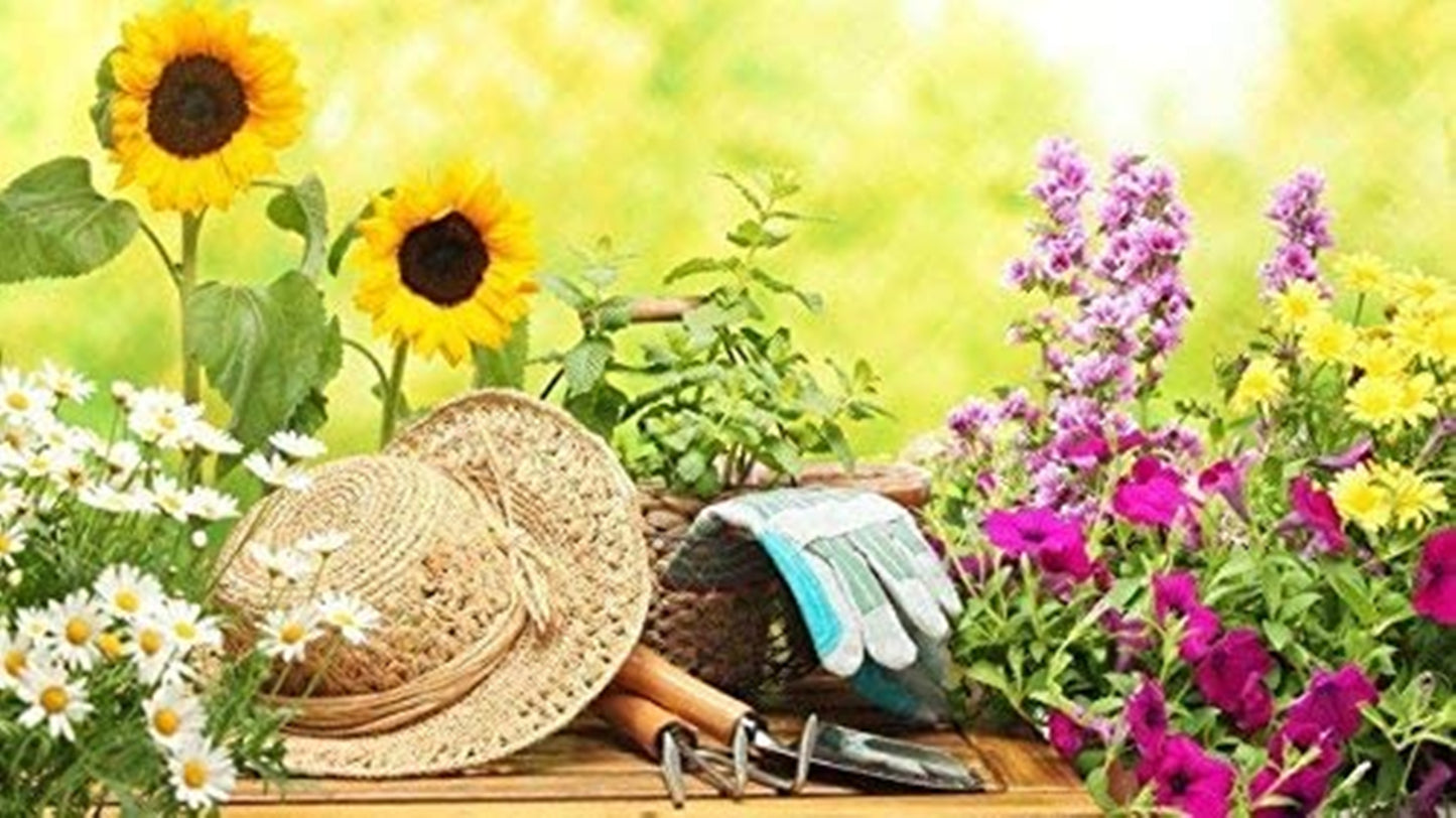 P & K 49-teilige Gartenwerkzeugset in Pink mit Praktischem Korb und Taschen- Ideal für Garten- oder Balkonarbeit und Pflanzpflege